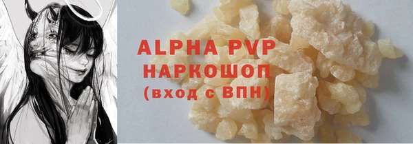 прущие грибы Новодвинск