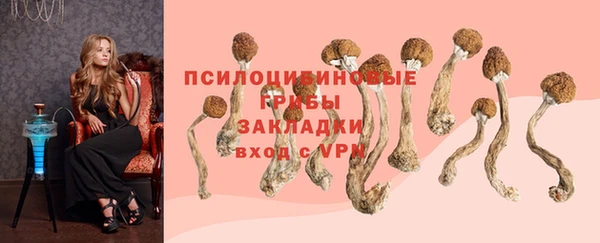 СК Алексеевка