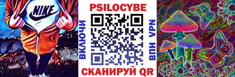 Псилоцибиновые грибы мицелий  закладка  Кашин 